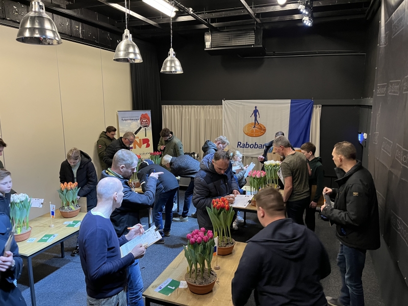 NK-tulpenkeuren-Wervershoof-4e-keuring