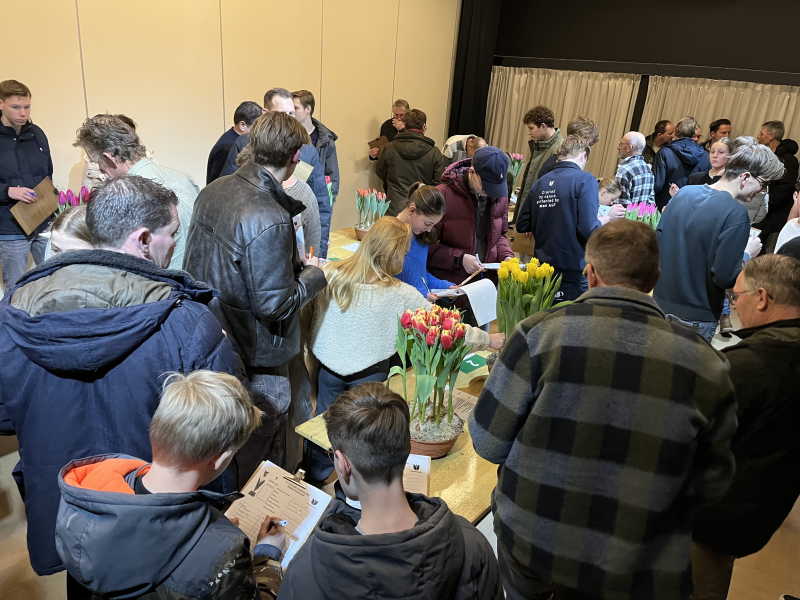 1e_tulpenbeoordeling_Wervershoof_2026