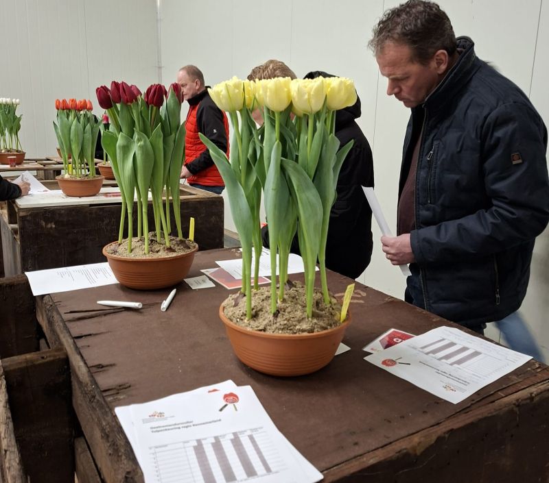 Kennemerland-1b-2026