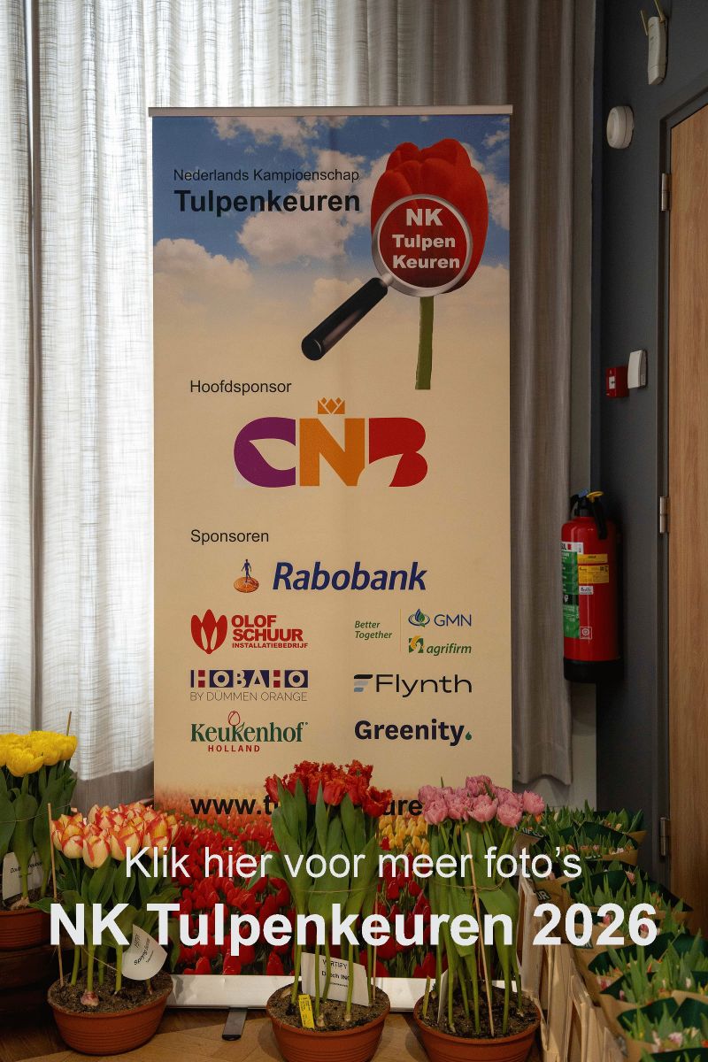 NK-Tulpenkeuren-2026-fotos