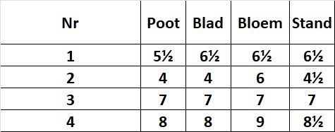 Uitdlagen-scholen-jury-2026