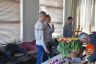 NK-Tulpenkeuren-2024-DSC_0496.jpg