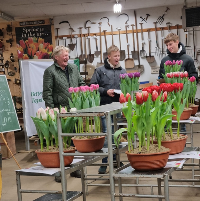 Breezand-nk-tulpenkeuren-zesde-keuring