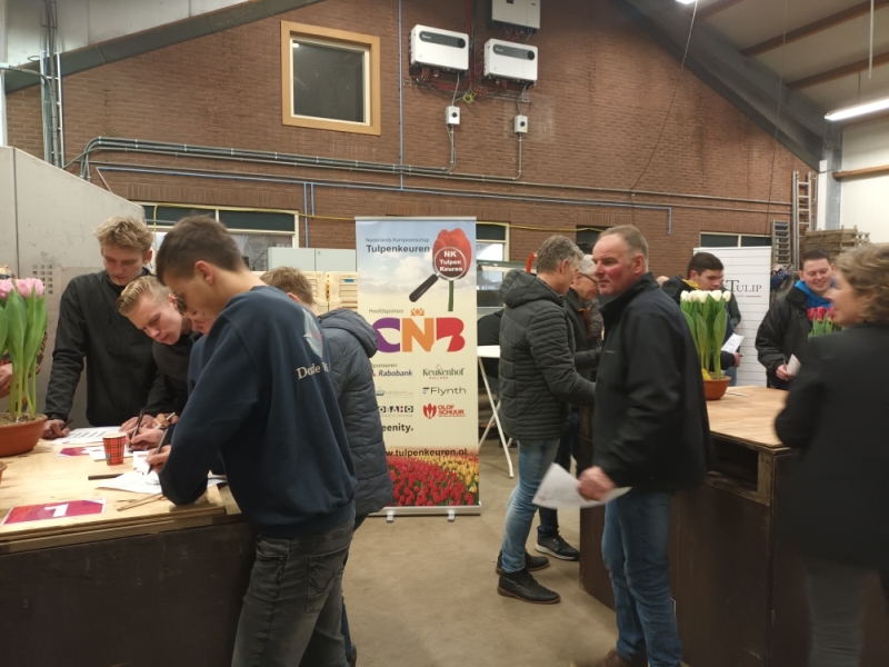 NK-Tulpenkeuren-Kennemerland-02-02-23