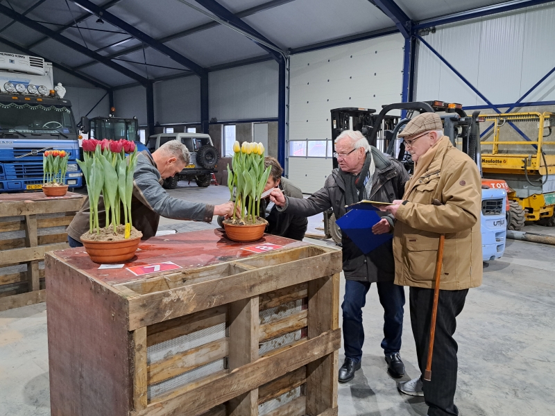 NK-Tulpenkeuren-jury-keuring-2
